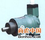武漢東盛液壓氣動(dòng)設(shè)備——專業(yè)供應(yīng)SCY14-1B軸向柱塞泵及氣動(dòng)液壓系統(tǒng)解決方案